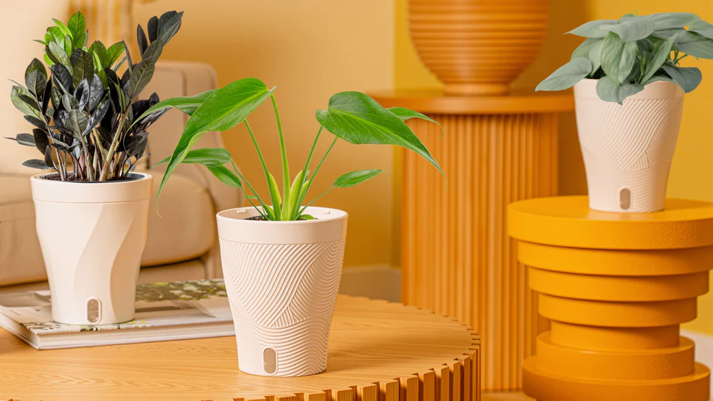 Freshness From Our Farm Home